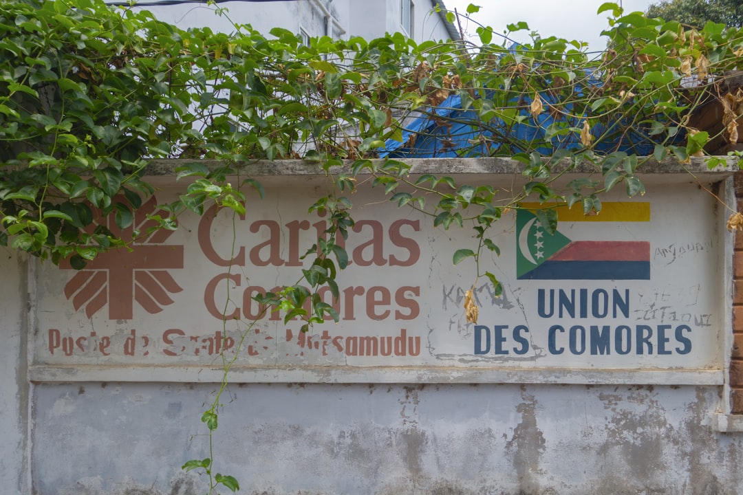 주거급여 신청 조건 가이드